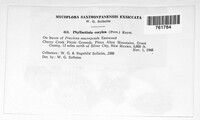 Image Associated With the Occurence